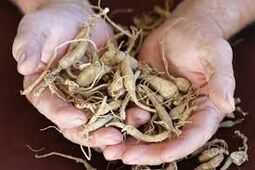 crescente potência em homens com meios naturais